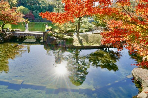 名古屋市東区の旅3 徳川園の紅葉 ライトアップ 22 12 03 なんかいろいろ大好きblog
